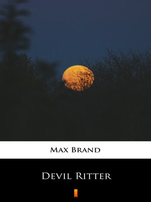 cover image of Devil Ritter